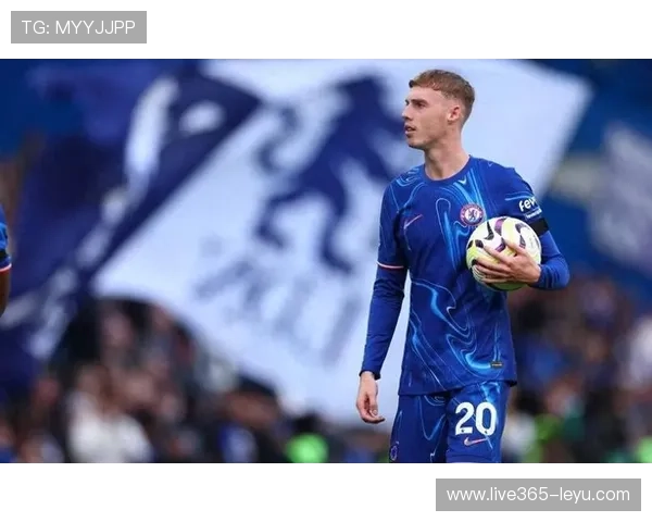 帕尔默技术全面性获赞 攻防两端尽显核心价值