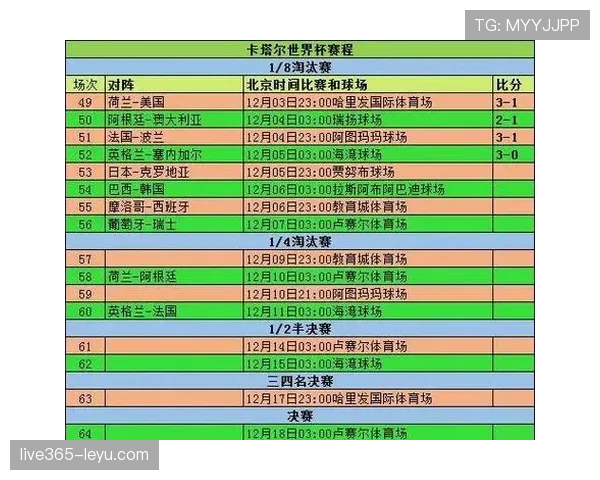 斯洛伐克队首度闯入世界杯淘汰赛，2010年历史性突破引关注