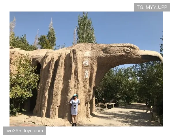 阿劳霍持续提升，成为顶级后卫的传奇逆袭之路 анализа