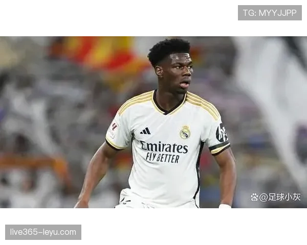 楚阿梅尼战术价值提升