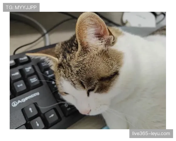 掌敏洁那生活简直两极分化，一边训练像疯子一边回家变猫奴？